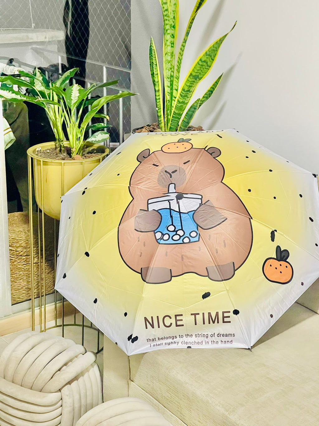 Sombrillas de CAPYBARA