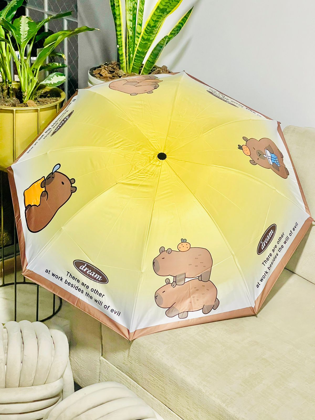 Sombrillas de CAPYBARA