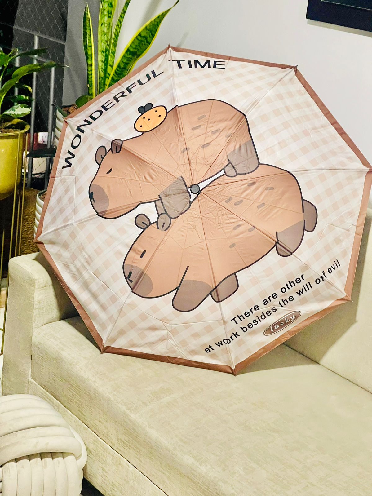 Sombrillas de CAPYBARA