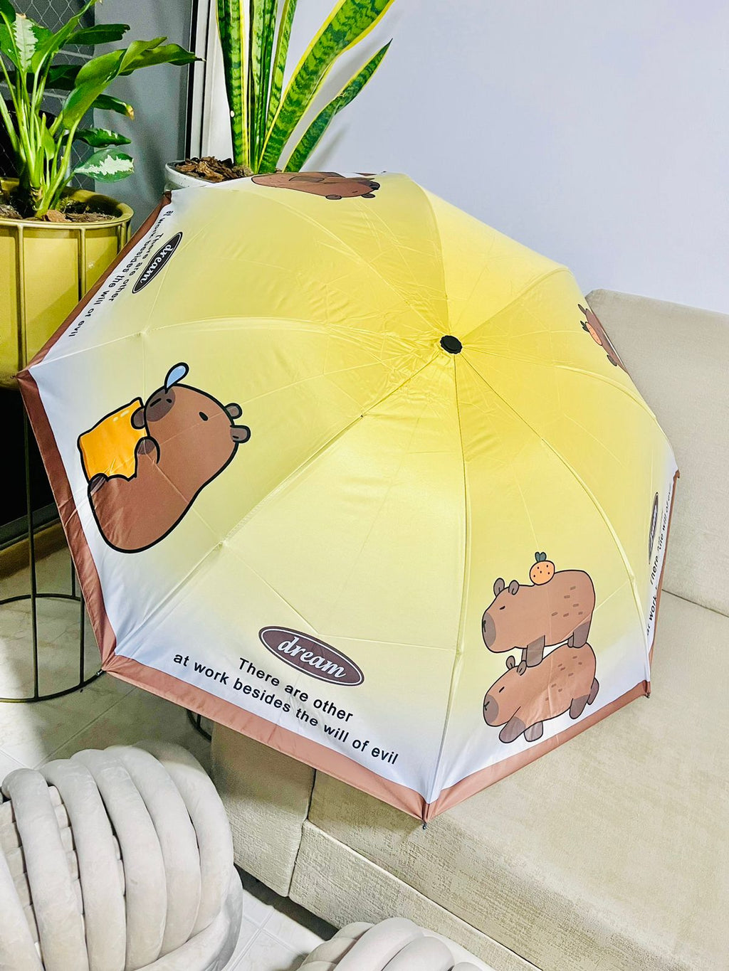 Sombrillas de CAPYBARA